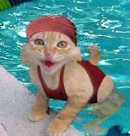 Archive of funny pictures including that of animals, celebrities, children, and more.